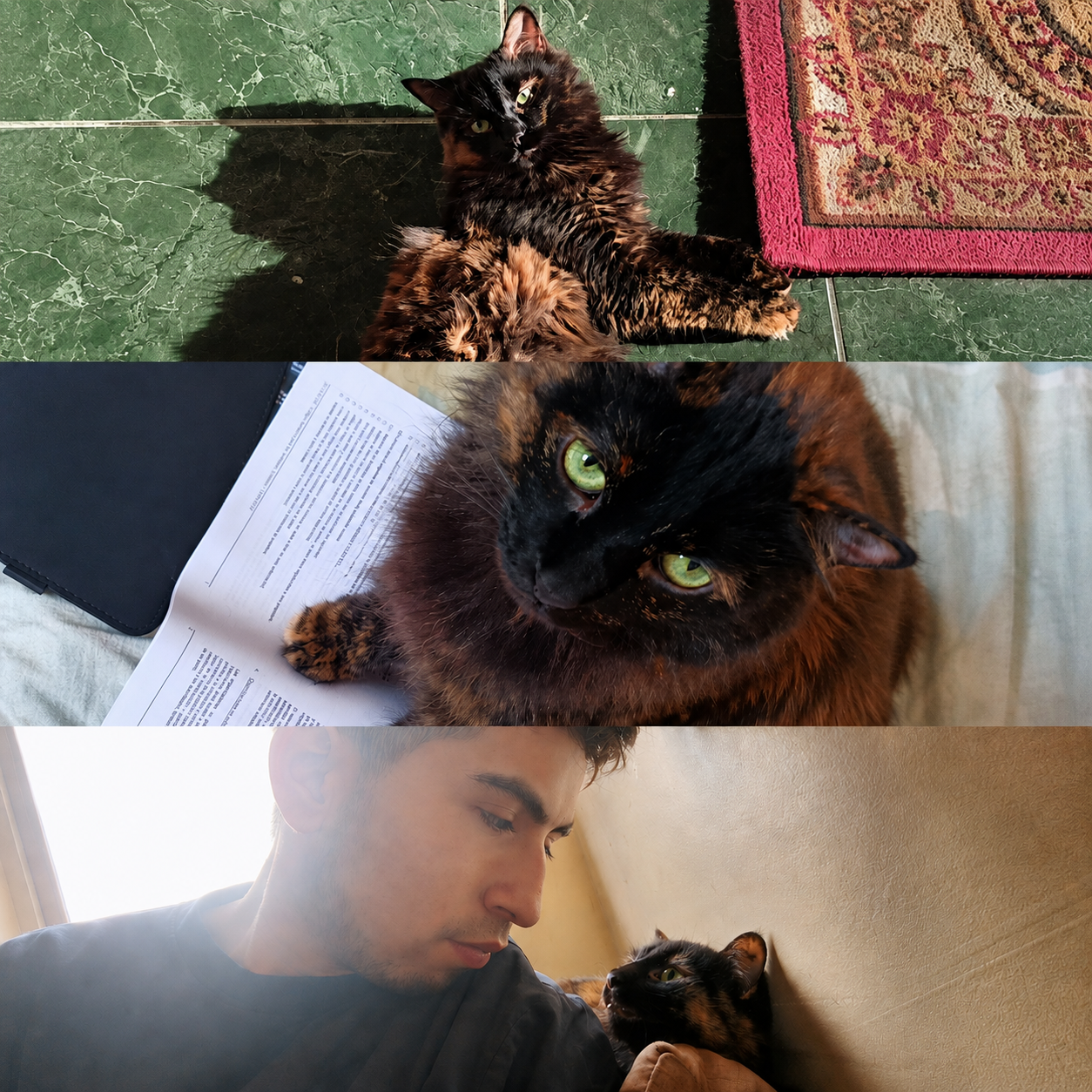 Proyecto Nala