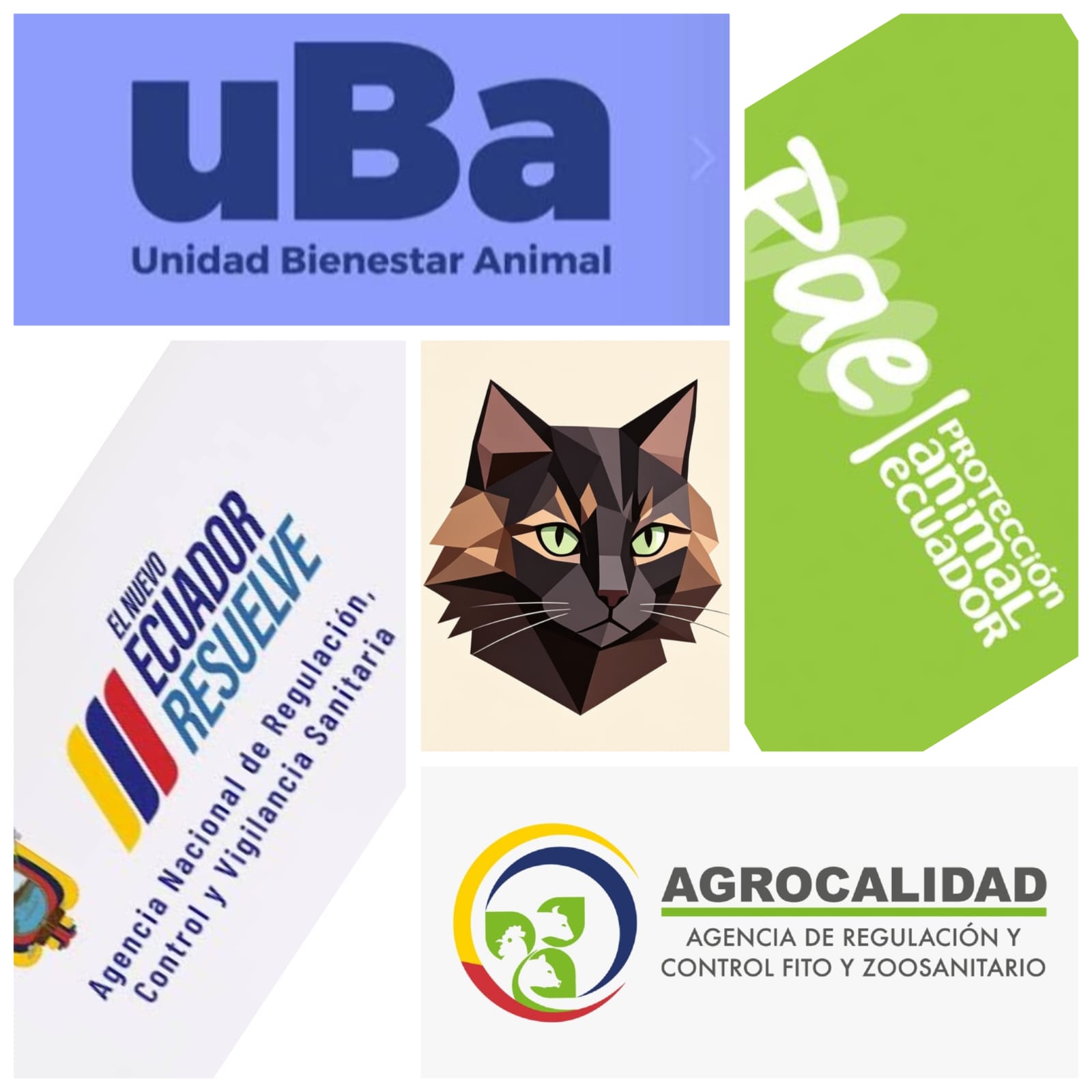 Entidades competentes y su función