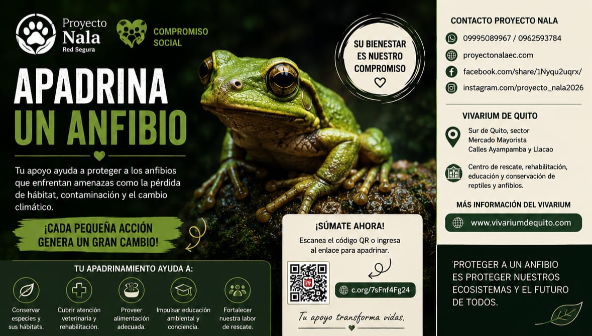 Apadrina un anfibio