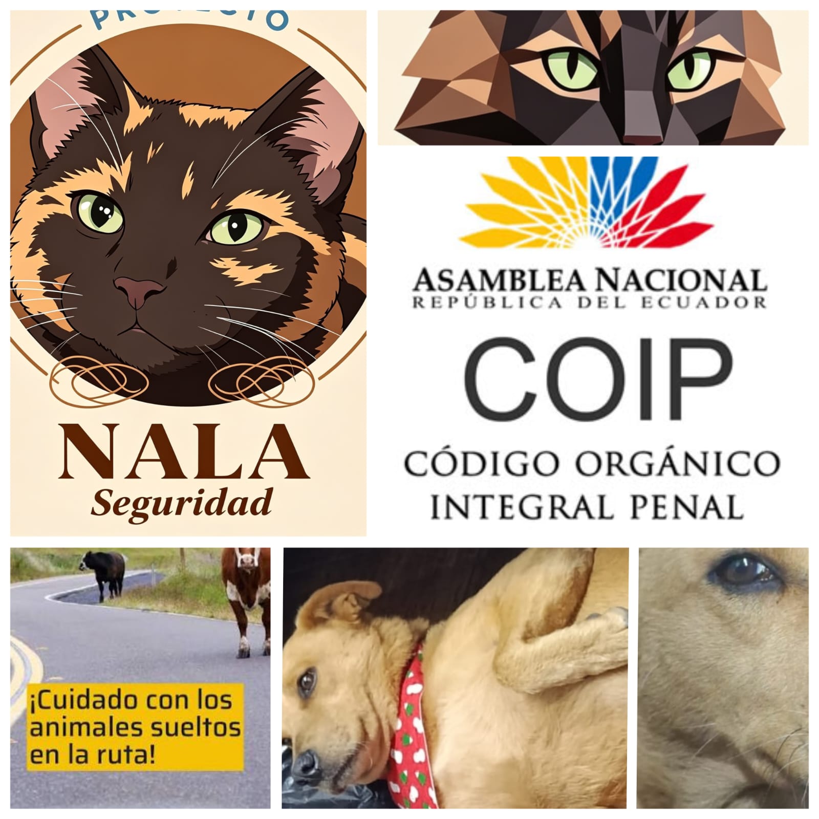 Seguridad vial y respeto en nuestras vías