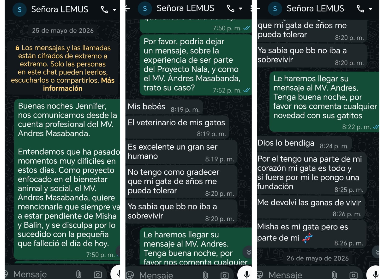 Imagen de apoyo del caso de estudio Misha Lemus