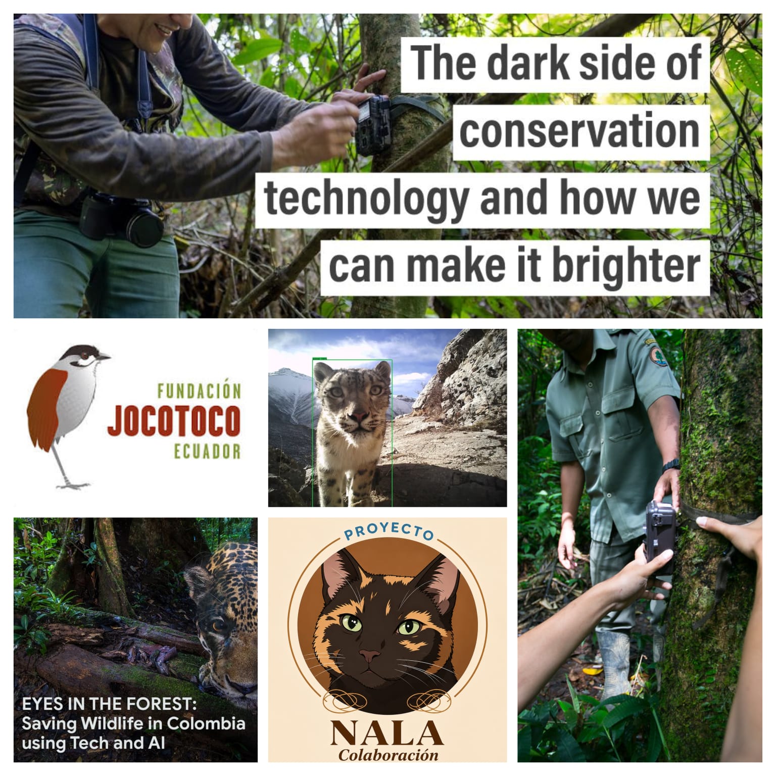IA colaborativa en conservación: cuando compartir datos salva especies